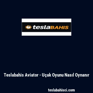Teslabahis Aviator - U&ccedil;ak Oyunu Nasıl Oynanır